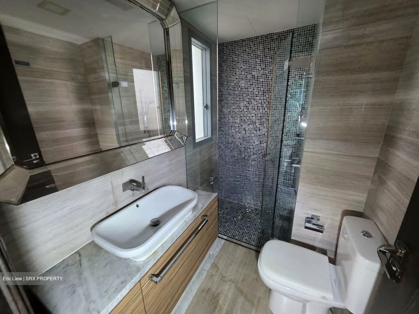 Thomson Grand (D20), Condominium #561318611